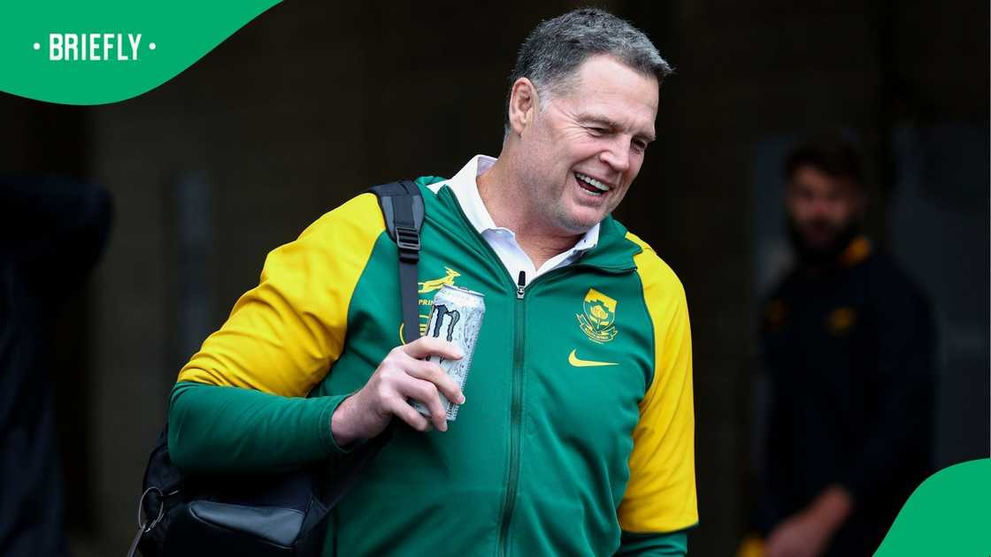 Rassie Erasmus, Springboks, South Africa, Rugby Championship