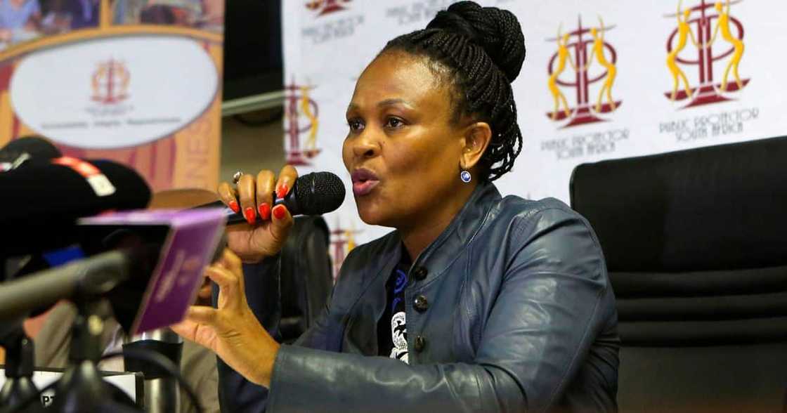 Public Protector, Busisiwe Mkhwebane, save job, Commission of Human Rights, R50million Public Protector, Busisiwe Mkhwebane, save job, Commission of Human Rights, R50million
