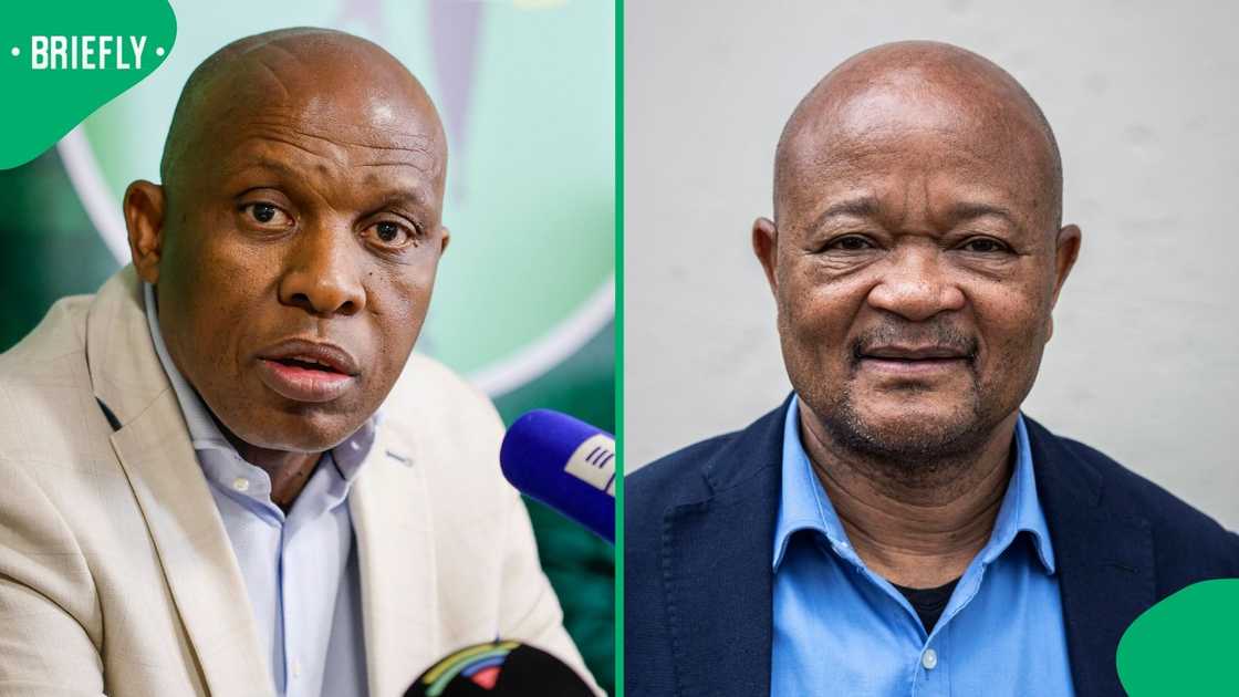 David Skosana trolled Senzo Mchunu David Skosana trolled Senzo Mchunu