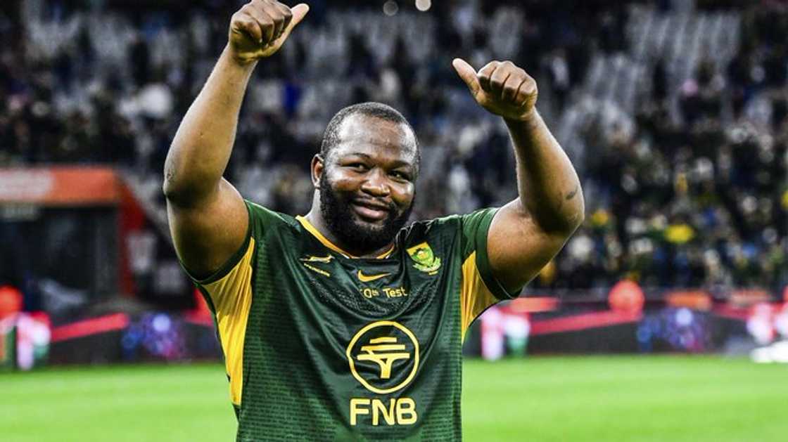 Ox Nche, Springboks, All Blacks, Dave Rennie, Cape Town.