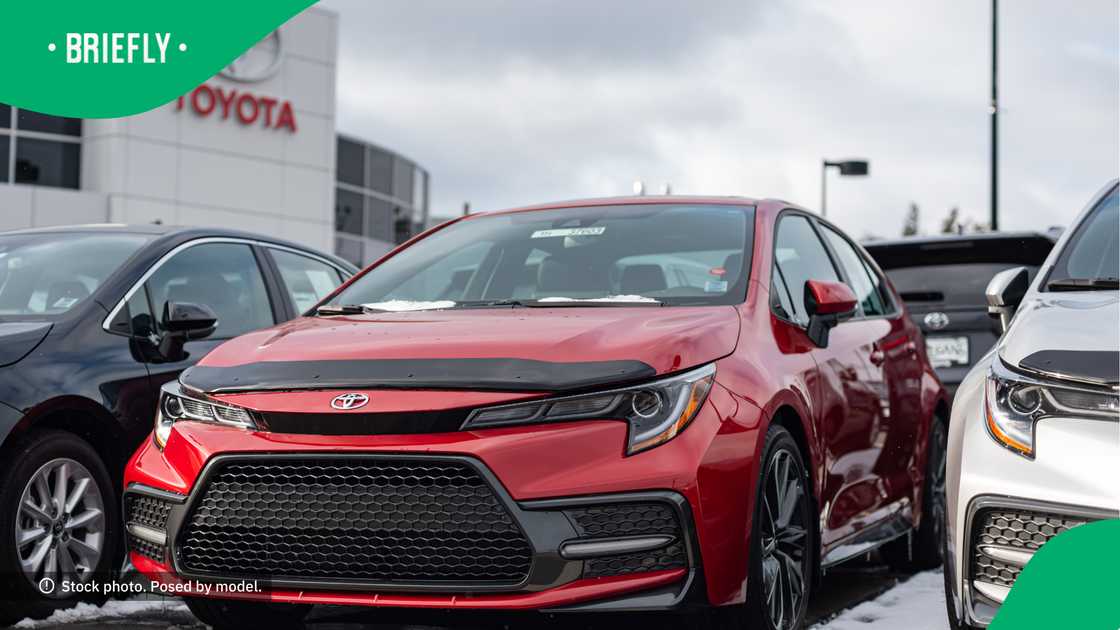 Toyota has become a very popular car brand for folks across Mzansi Toyota has become a very popular car brand for folks across Mzansi