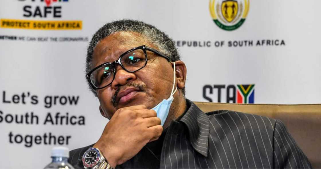 Fikile Mbalula asks Kaizer Chiefs fans to relax, Mzansi reacts hilariously Fikile Mbalula asks Kaizer Chiefs fans to relax, Mzansi reacts hilariously