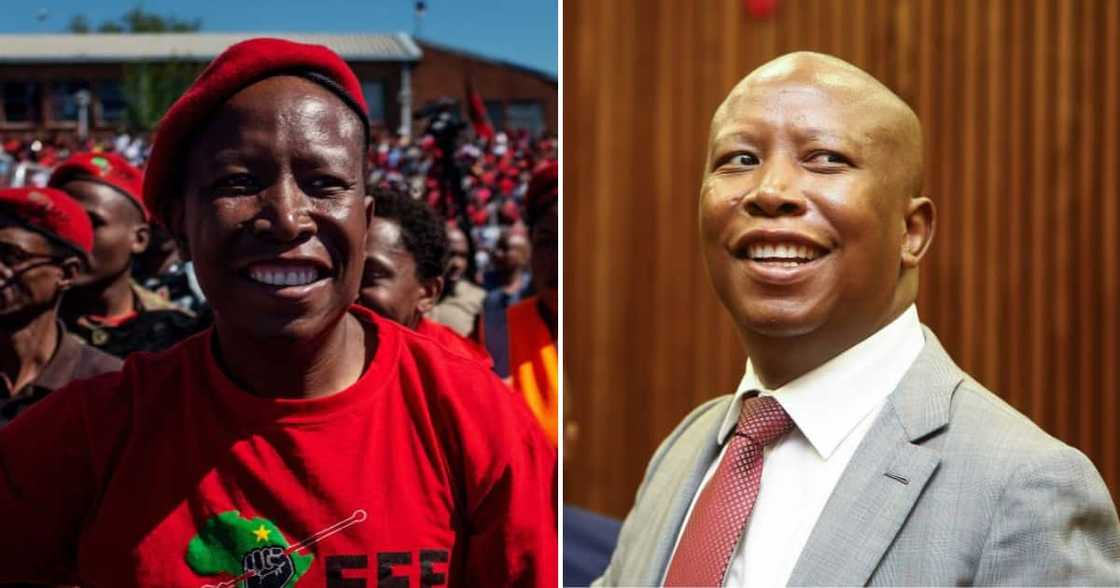 Julius Malema turned 42 on 3 March