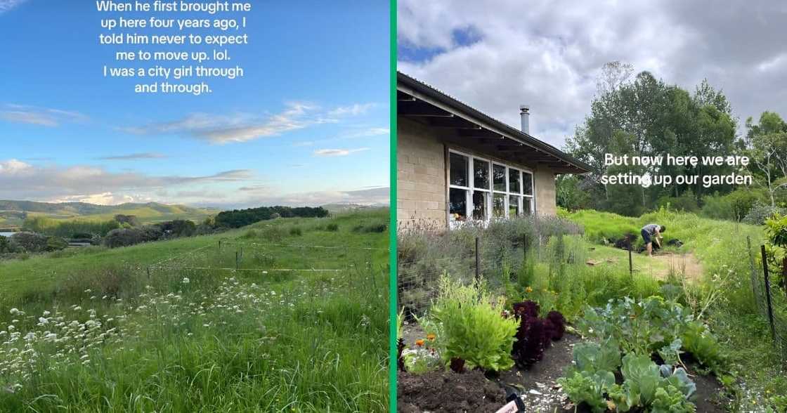 Farmland and gardening.