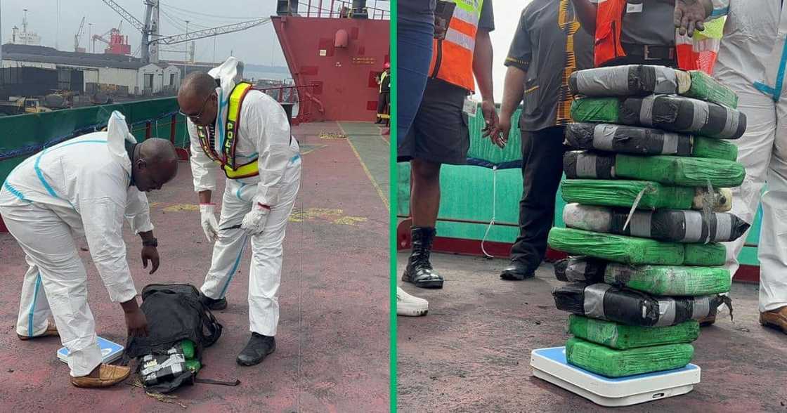 The Hawks seized a shipment of drugs worth R15 million in Richards Bay The Hawks seized a shipment of drugs worth R15 million in Richards Bay