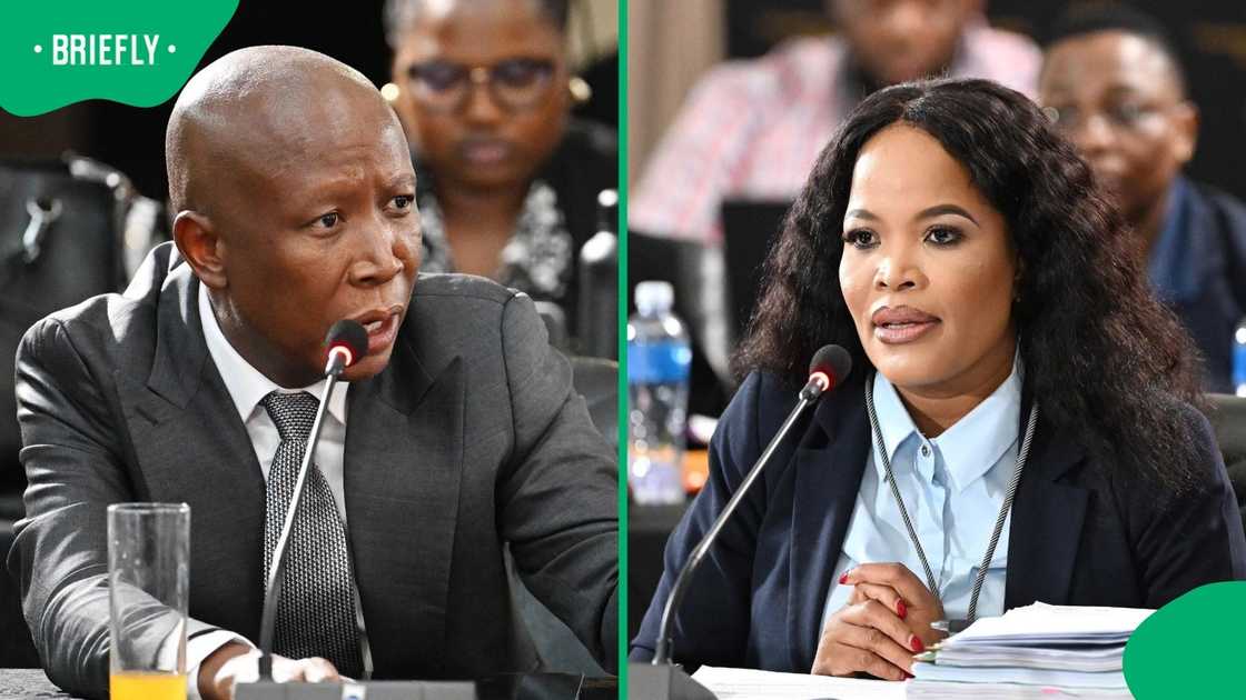 EFF President Julius Malema questioned how the police spent over R300 million on the EFF National Shutown