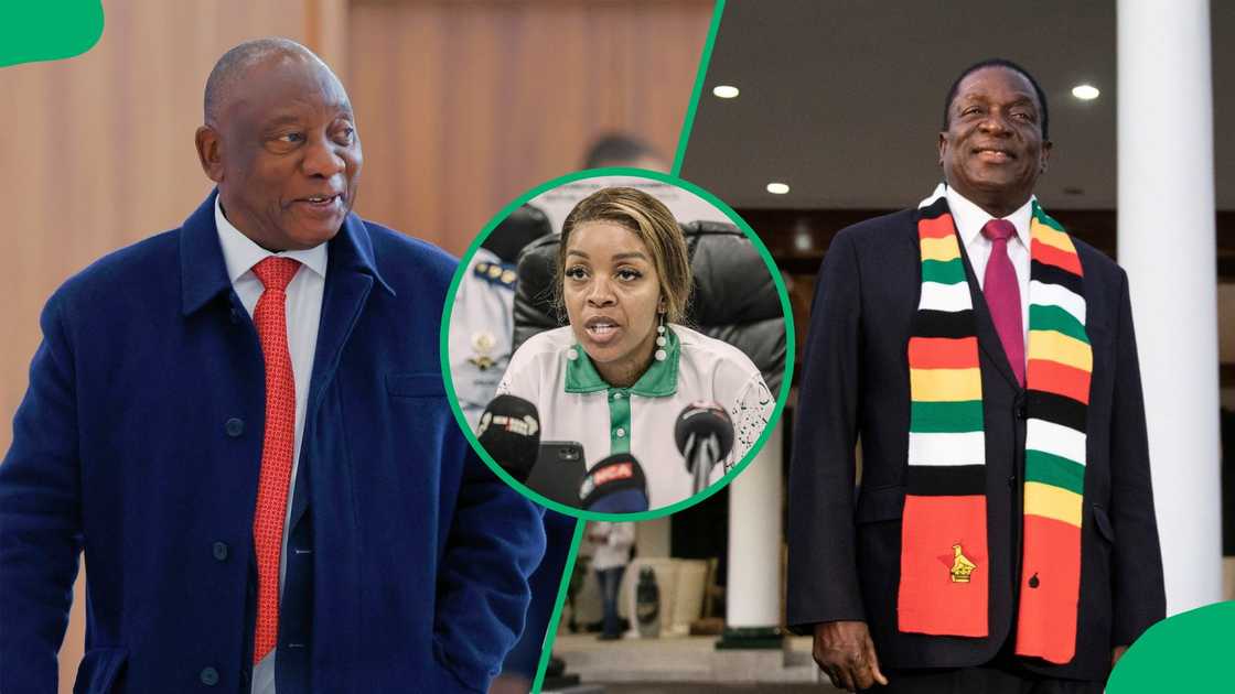 Jacinta Ngobese-Zuma compared Cyril Ramaphosa to Zimbabwean President Emmerson Mnangagwa Jacinta Ngobese-Zuma compared Cyril Ramaphosa to Zimbabwean President Emmerson Mnangagwa