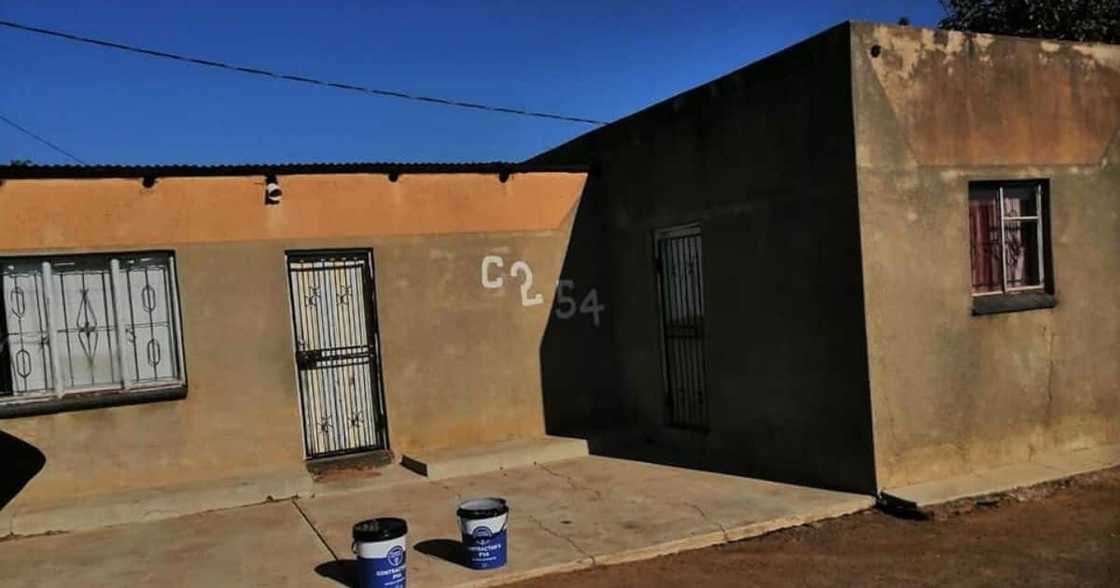 Mandela Day, Man, House, Free, Mzansi Mandela Day, Man, House, Free, Mzansi