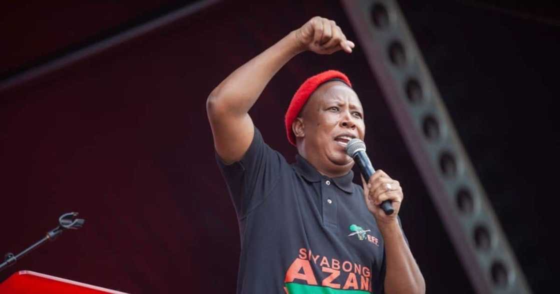 Julius Malema, EFF, Malema, Economic Freedom Fighters, local government election results, Gauteng election results Julius Malema, EFF, Malema, Economic Freedom Fighters, local government election results, Gauteng election results