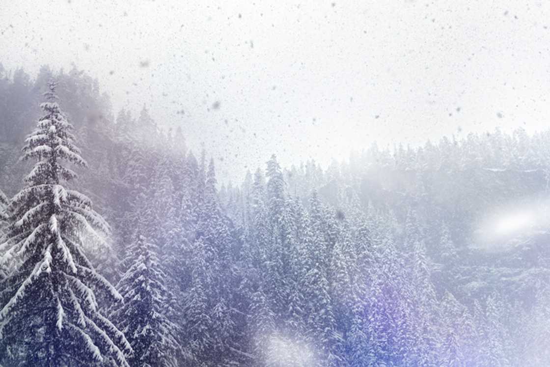 The TikTok video of the snowfall in the Eastern Cape went viral online. The TikTok video of the snowfall in the Eastern Cape went viral online.