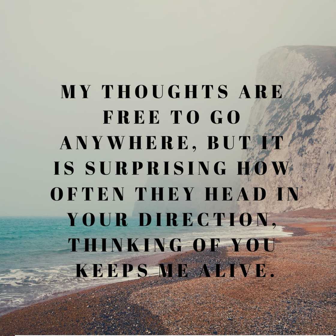 funny thinking of you quotes with images funny thinking of you quotes with images