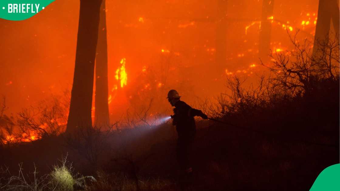 A fire danger warning has been issued for parts of South Africa