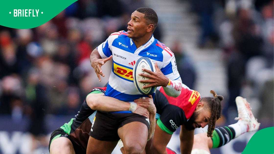 Damian Willemse, Investec Champions Cup, Harlequins, DHL Stormers, London, England. Damian Willemse, Investec Champions Cup, Harlequins, DHL Stormers, London, England.