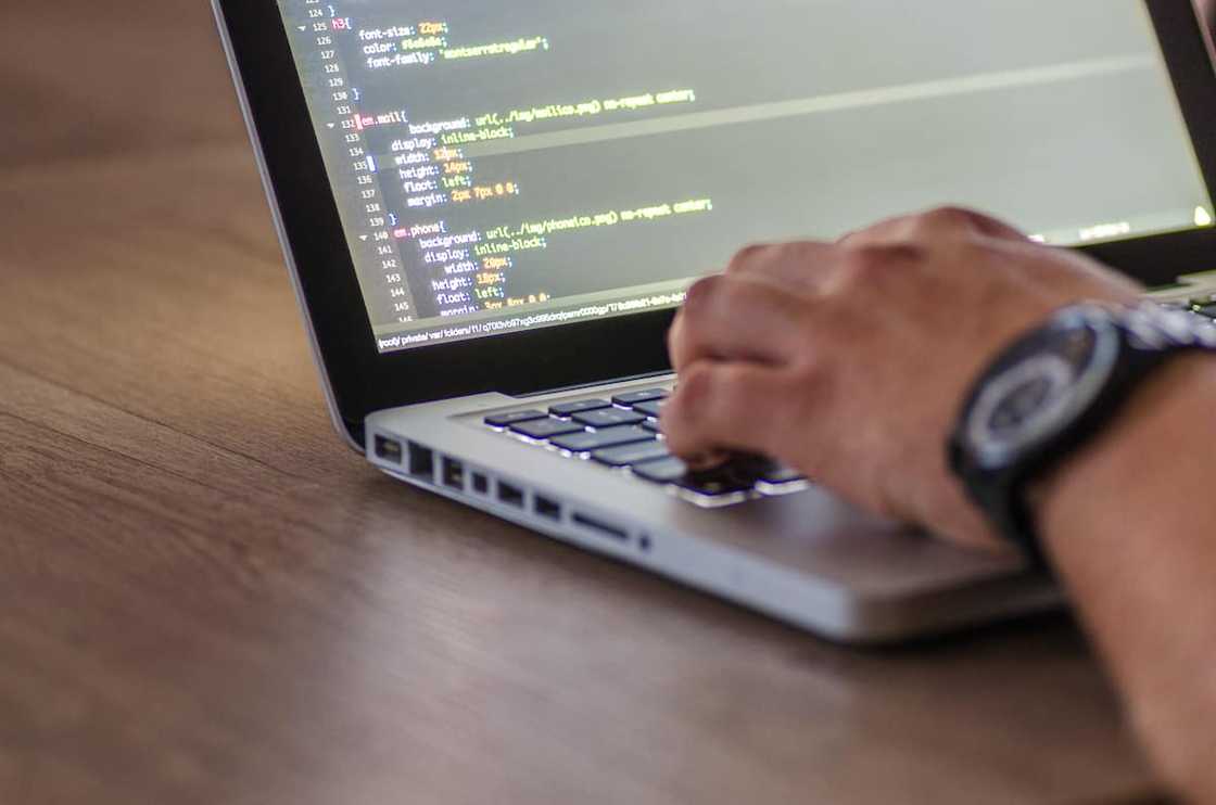 a software developer a software developer