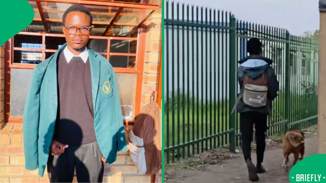 A playful school prank captured laughter as learners sprinted to avoid the chasing dog