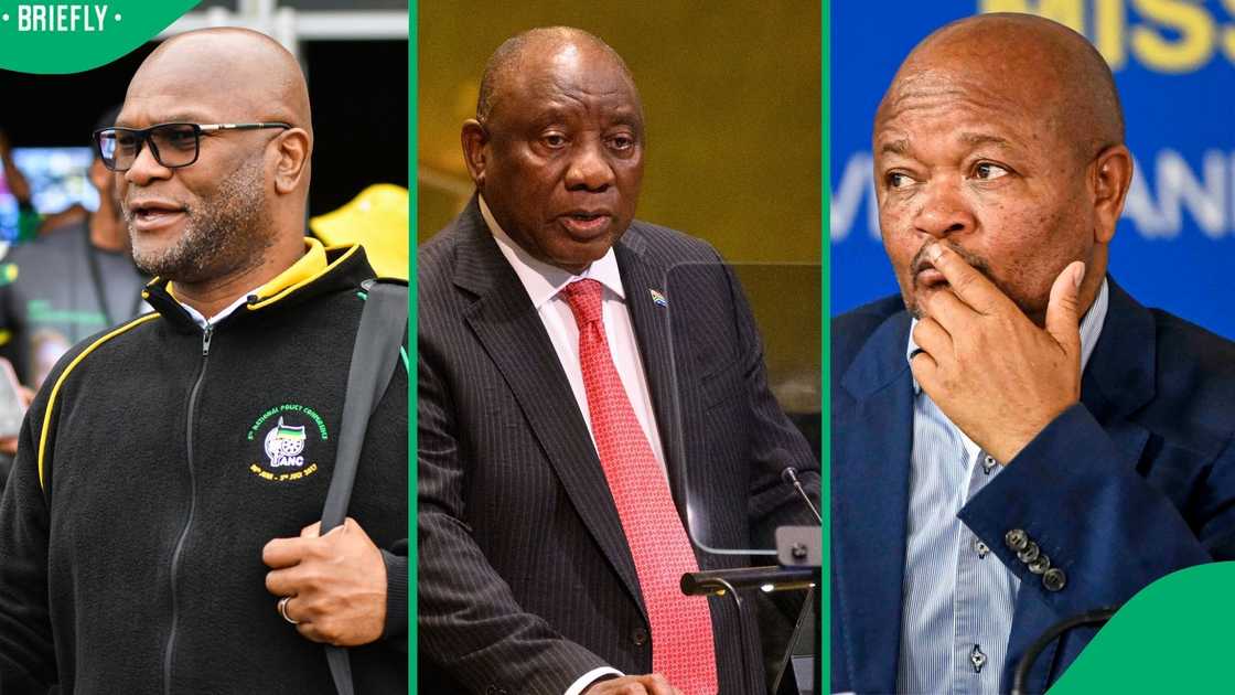 The Madlanga Commission of Inquiry exposed how politicians interfere with police work