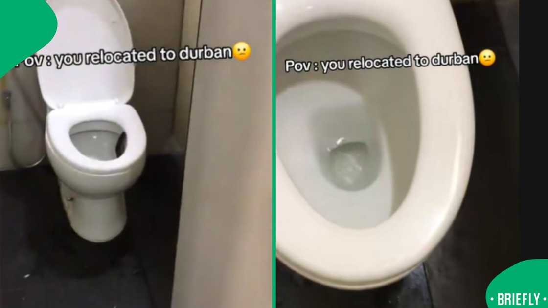 A frightening TikTok clip of a snake in the toilet captured the attention of South Africans