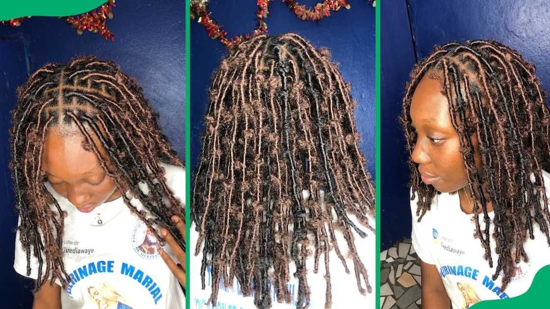 Midi butterfly locs