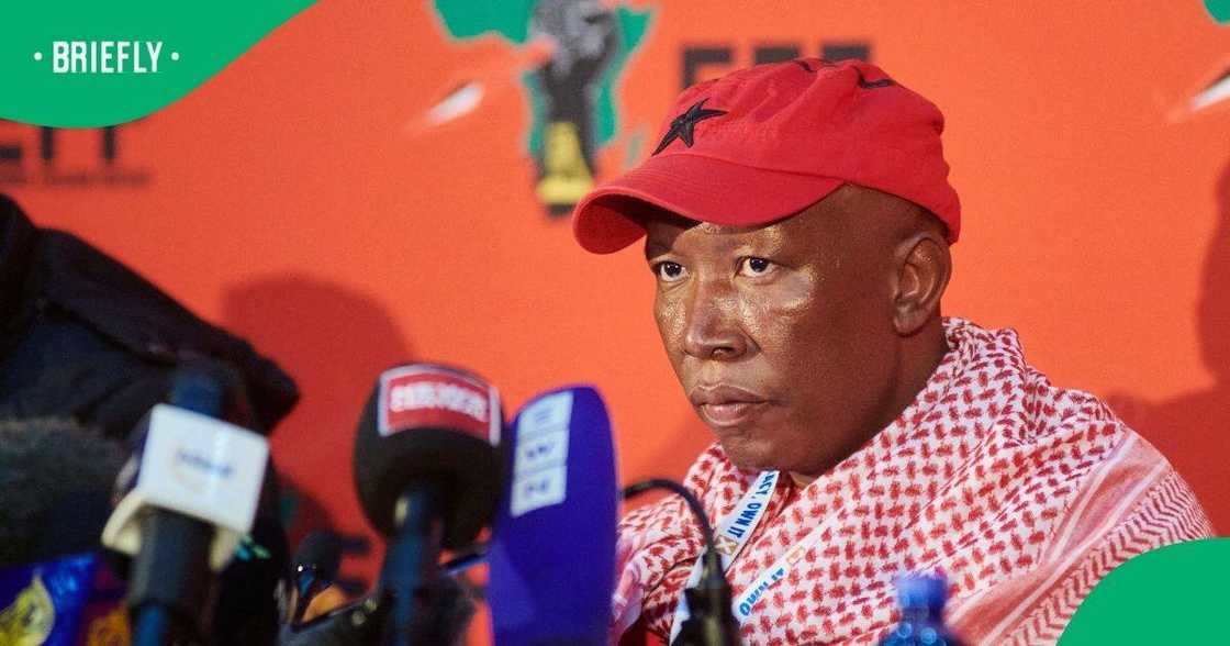 EFF leader Julius Malema stresses terms of joining GNU