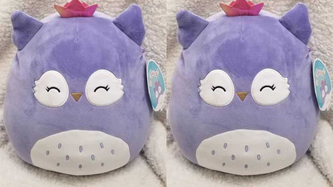 Fania the Owl Squishmallow