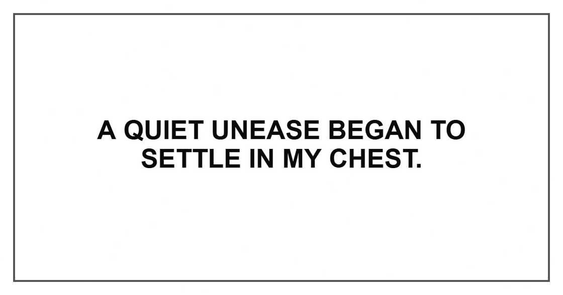 A quiet unease began to settle in my chest.
