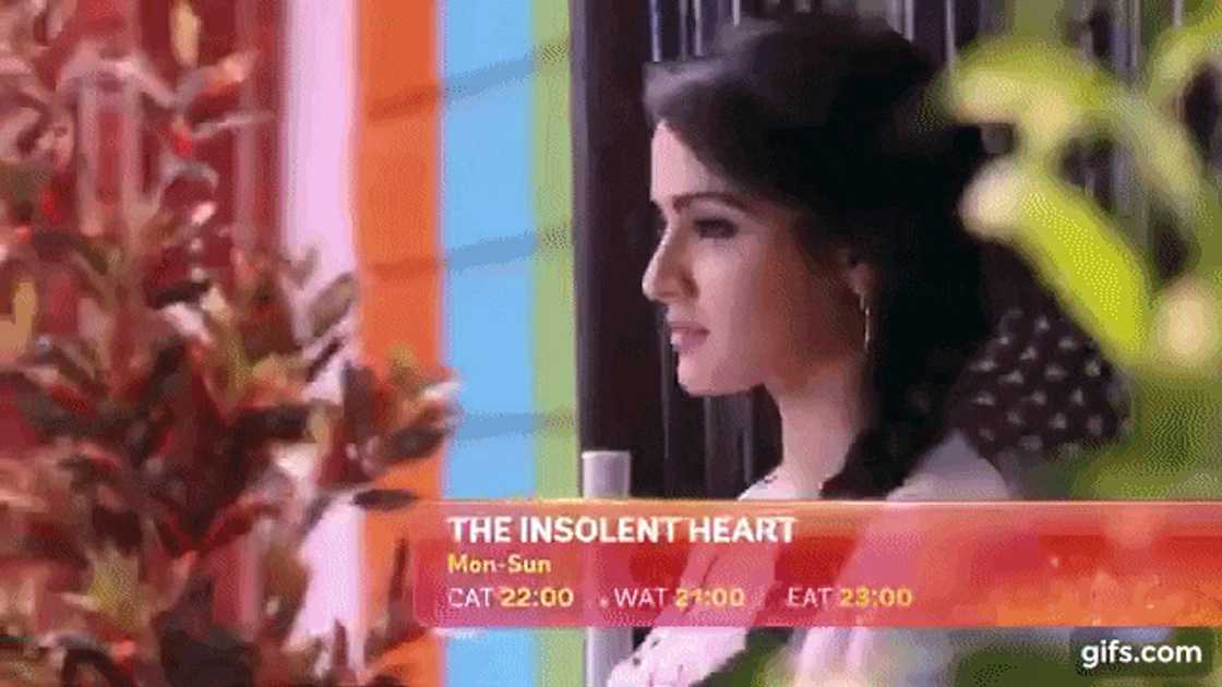 The Insolent Heart Teasers The Insolent Heart Teasers