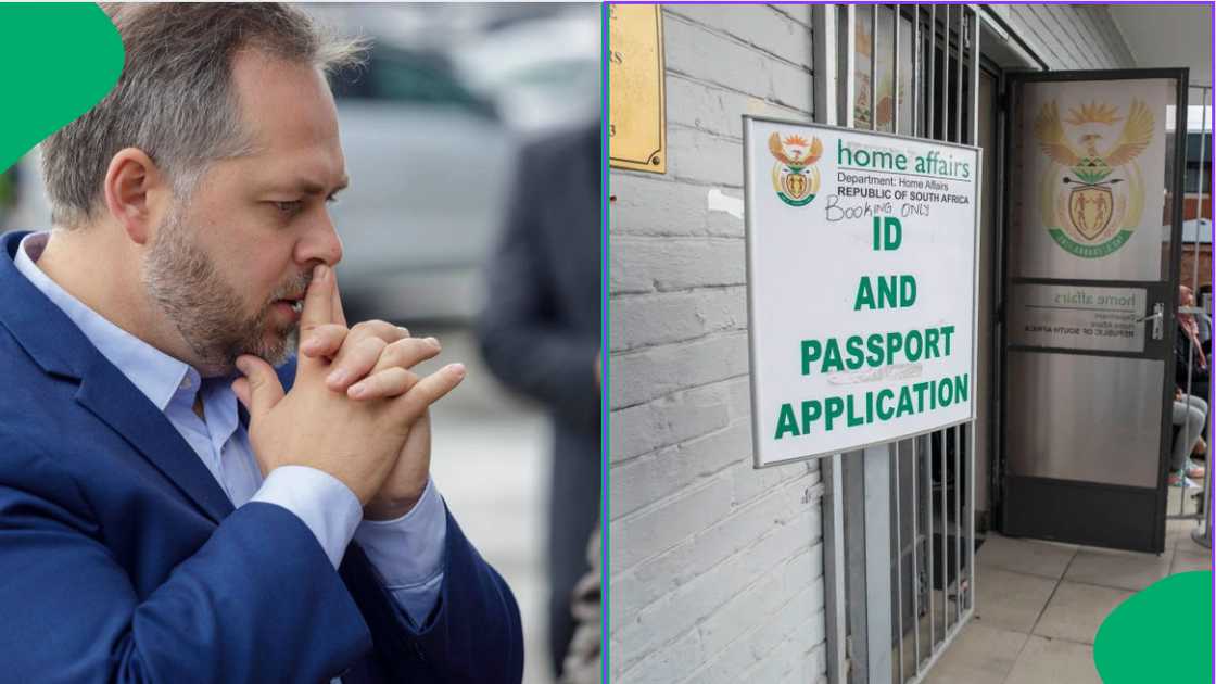 Home Affairs minister Leon Schreiber slammed a journalist for an interview