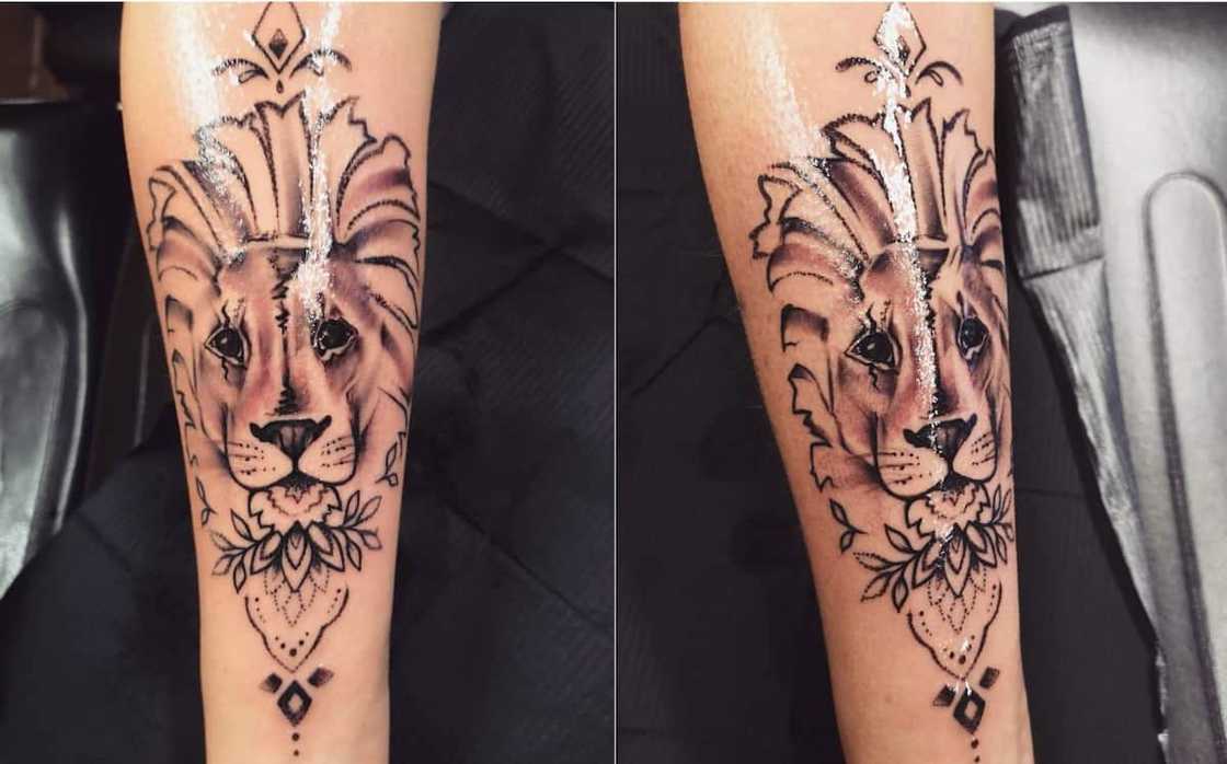Mandala lion Mandala lion