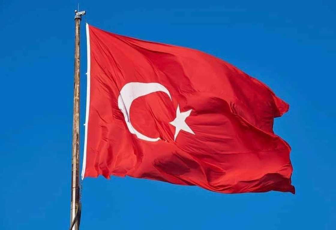Turkey Turkey