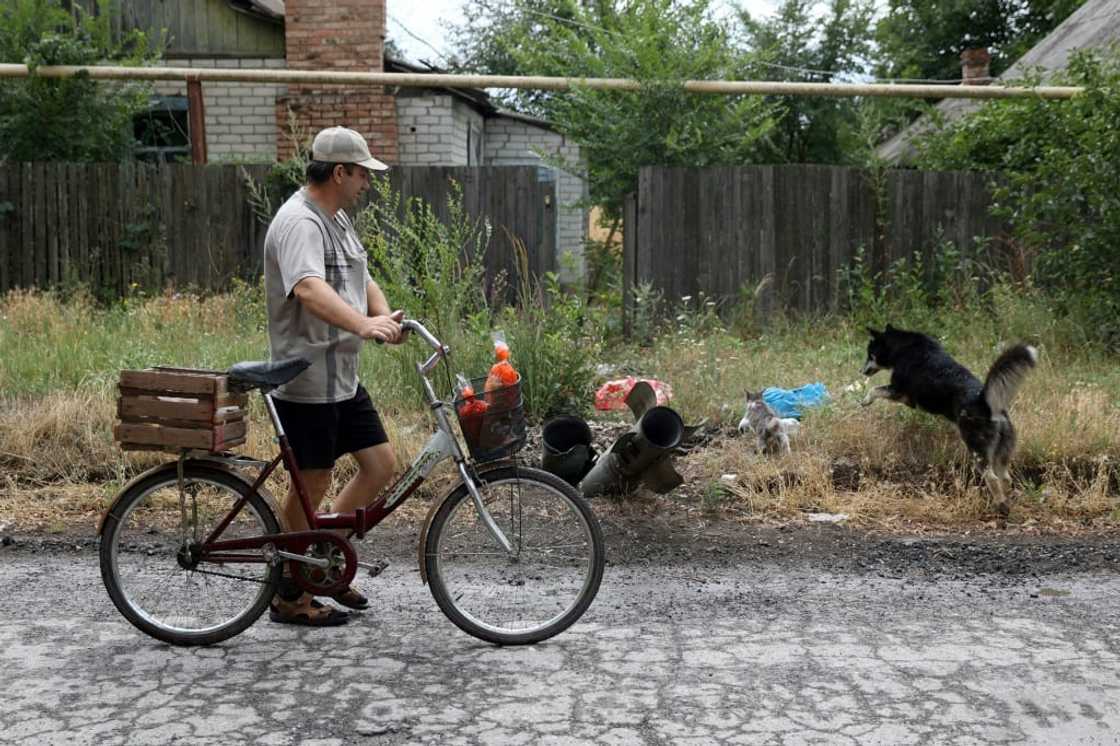 Siversk's streets are riddled with huge craters. Outside, stray cats and dogs play near the remains of rockets