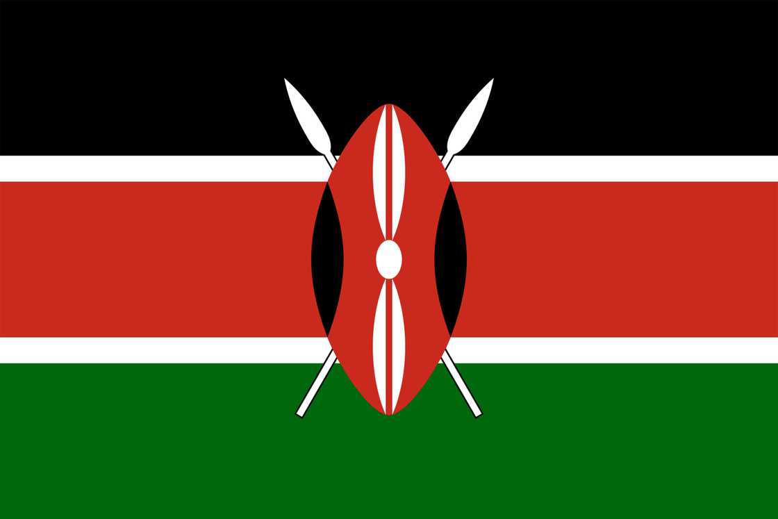 The flag of Kenya