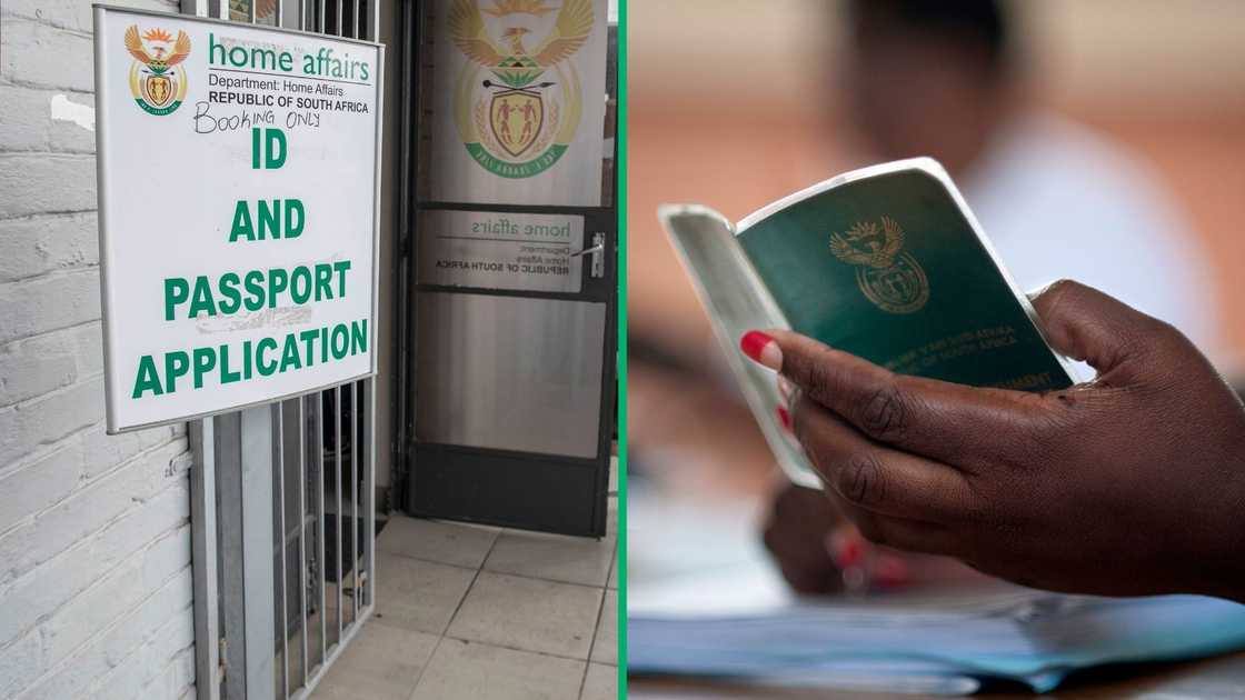 The Department of Home Affairs has plans for the green barcoded ID.