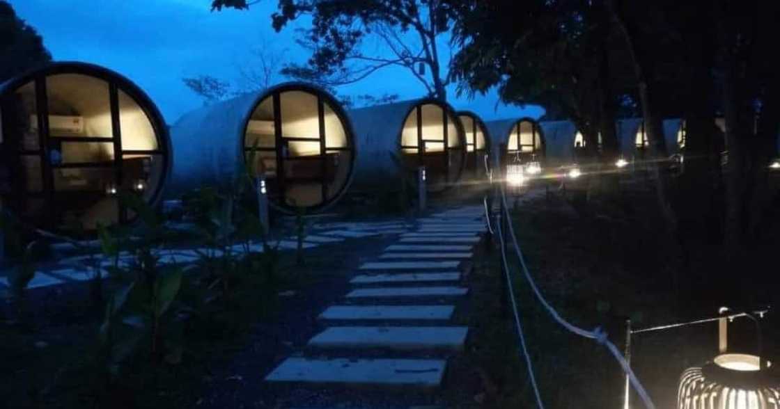 "This Is Beautiful": SA Reacts to Stunning Concrete Pipe Creations "This Is Beautiful": SA Reacts to Stunning Concrete Pipe Creations
