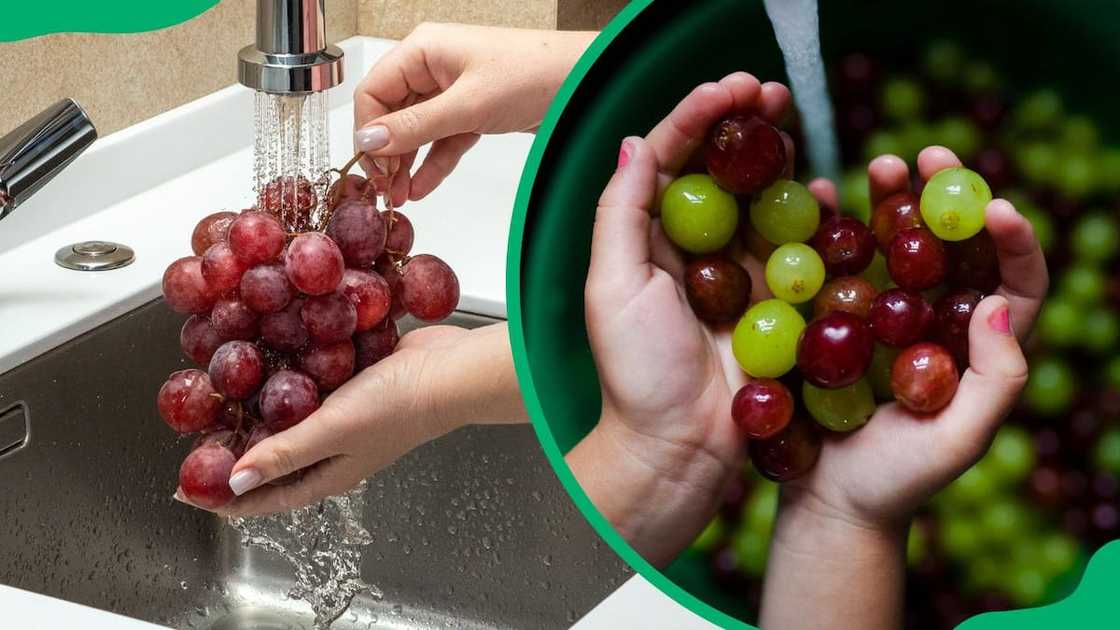 How to wash grapes properly How to wash grapes properly