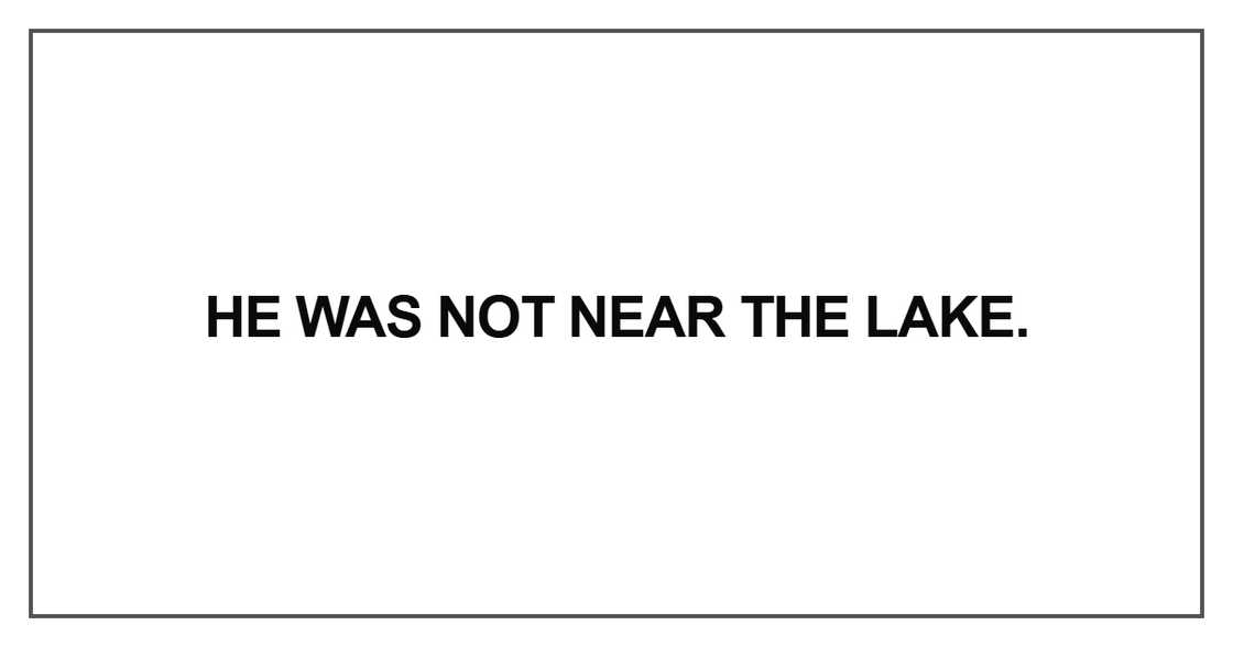 He was not near the lake He was not near the lake