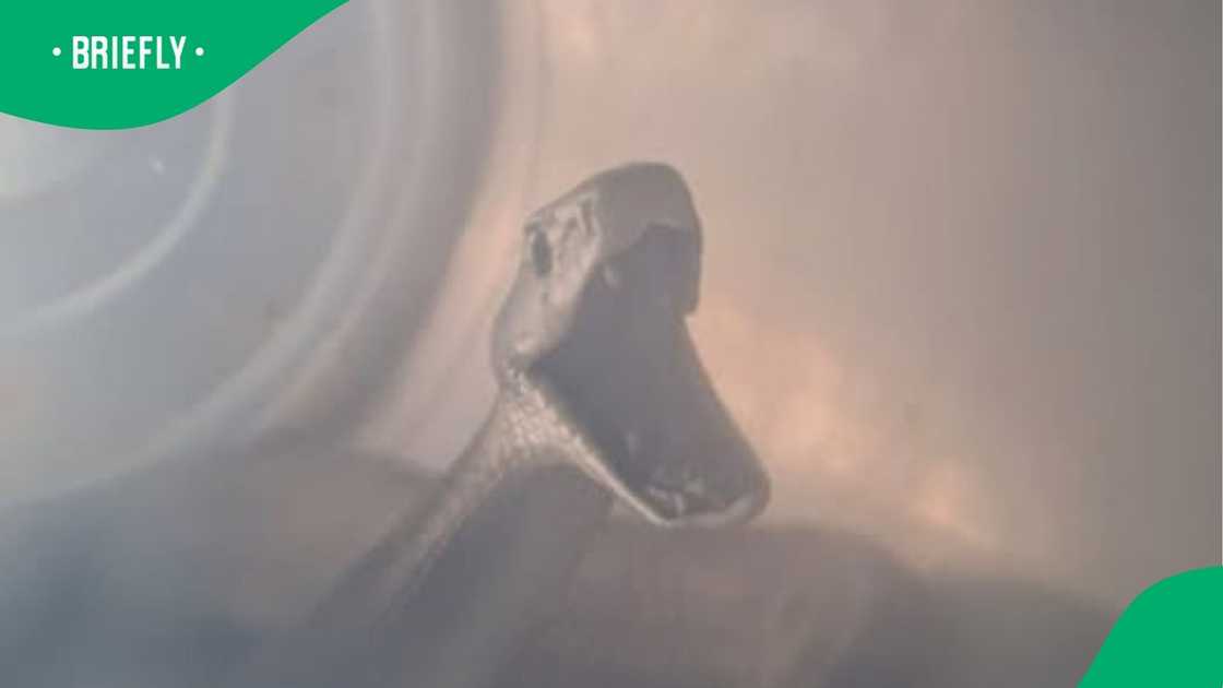 A clip went viral. A clip went viral.