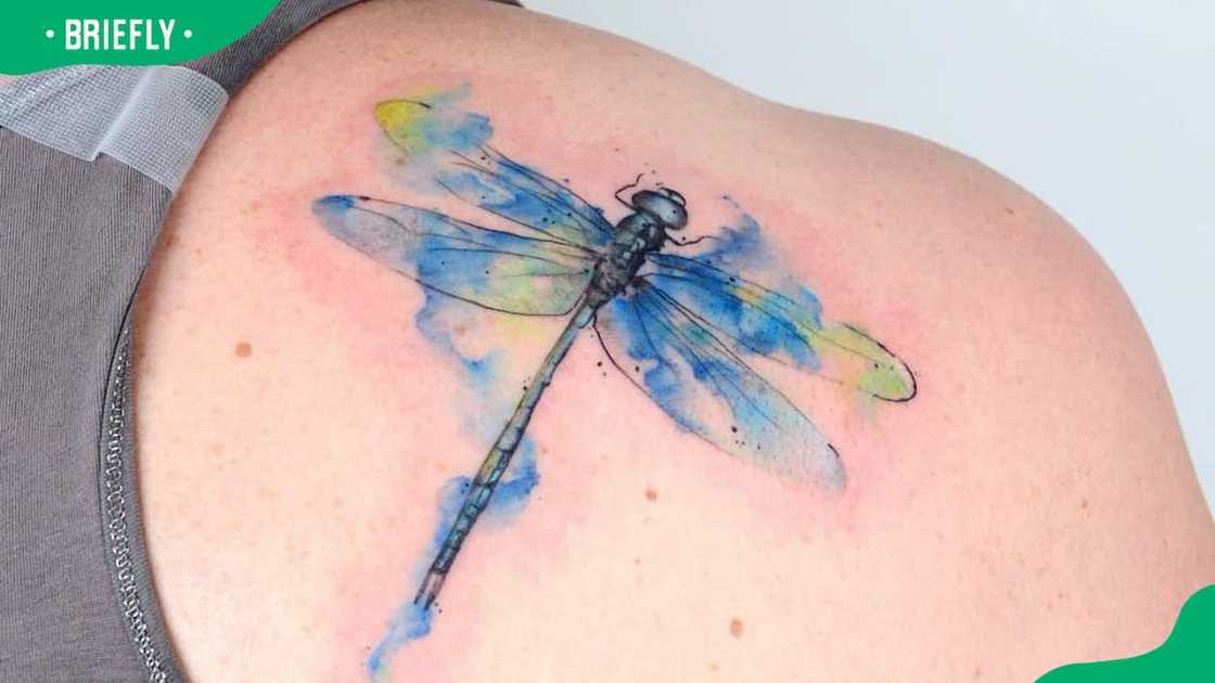Watercolor dragonfly shoulder tattoo Watercolor dragonfly shoulder tattoo