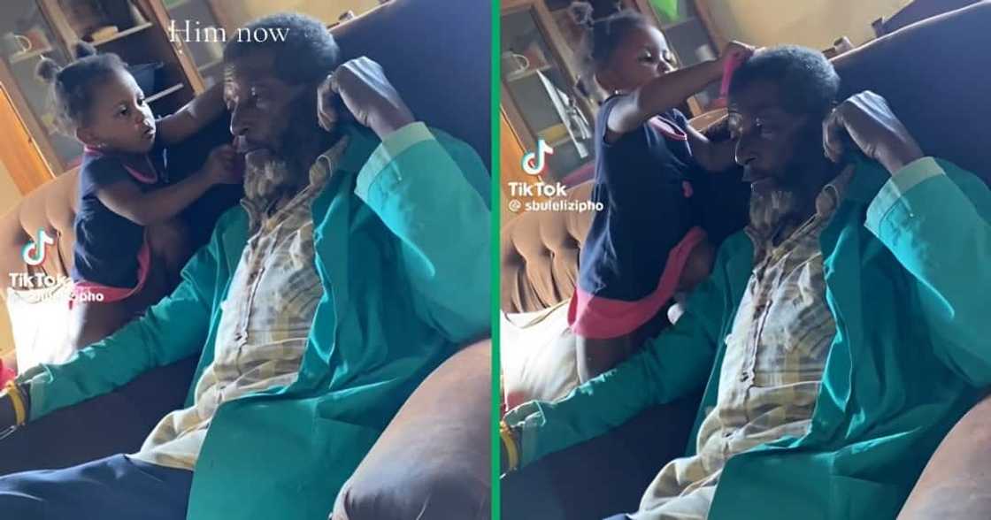 A little girl combed her grandfather's hair A little girl combed her grandfather's hair