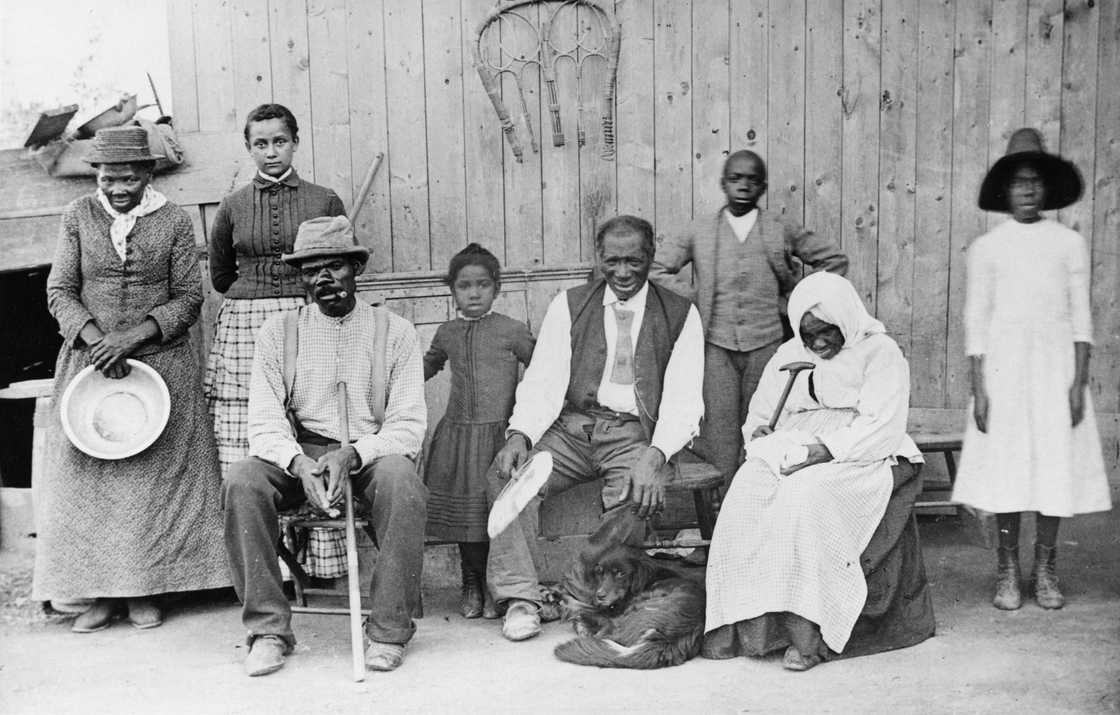 Harriet Tubman's family and friends