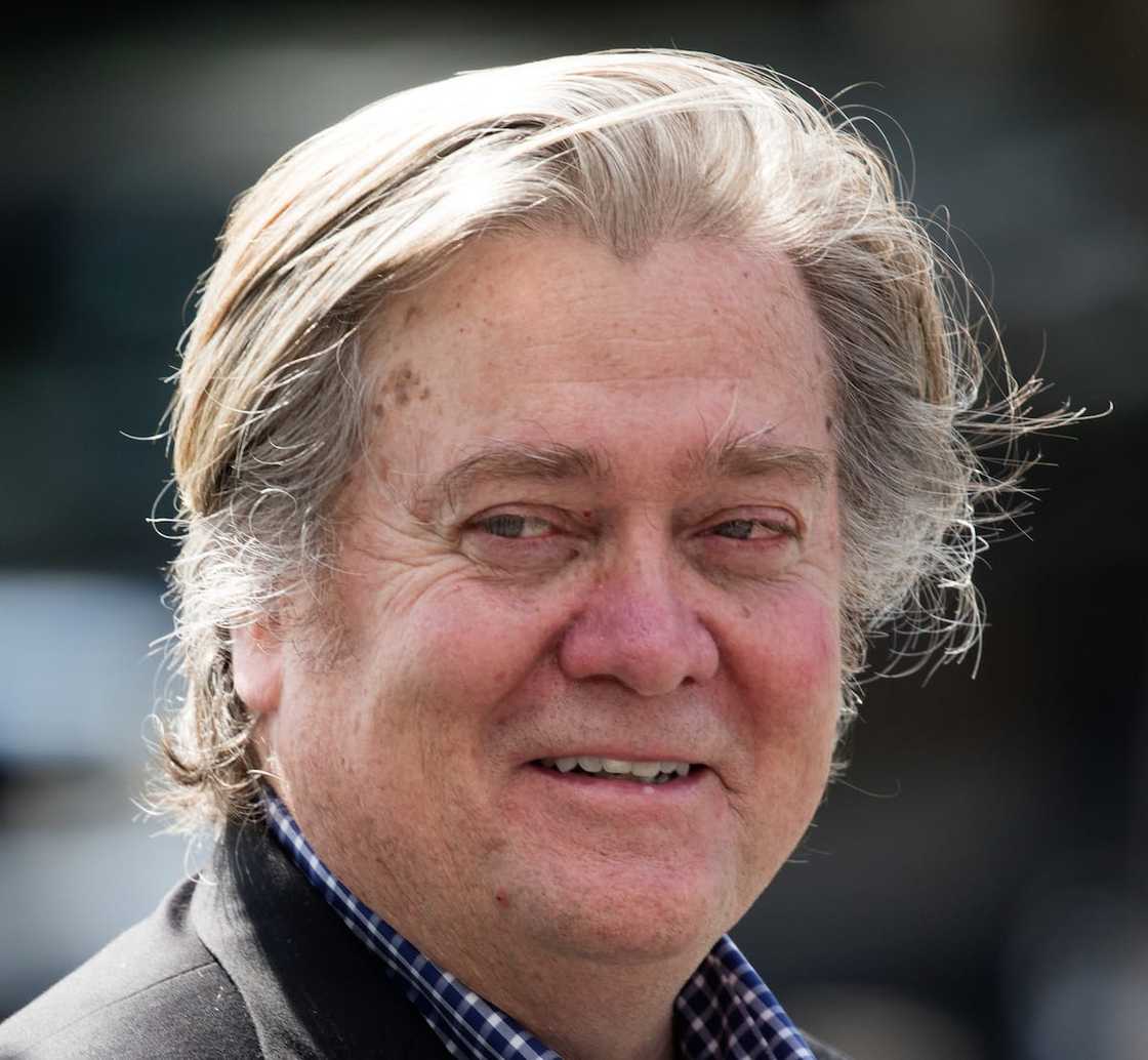 Steve Bannon's career