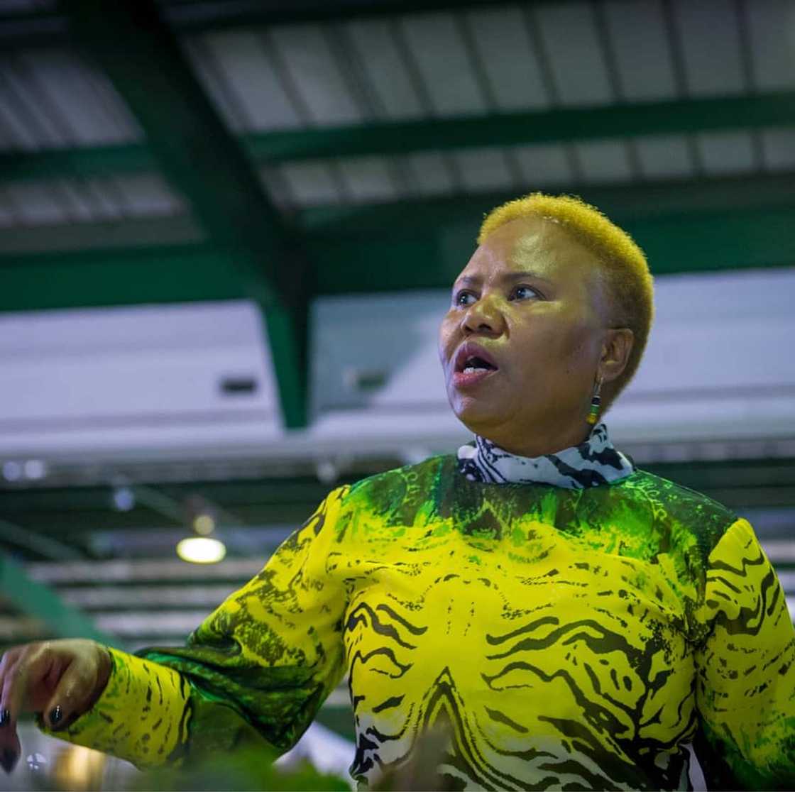 Lindiwe Zulu husband Lindiwe Zulu husband