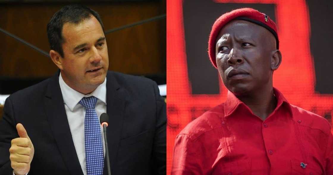 EFF, welcomes, High Court, ruling, DA. campaign banners, reactions EFF, welcomes, High Court, ruling, DA. campaign banners, reactions