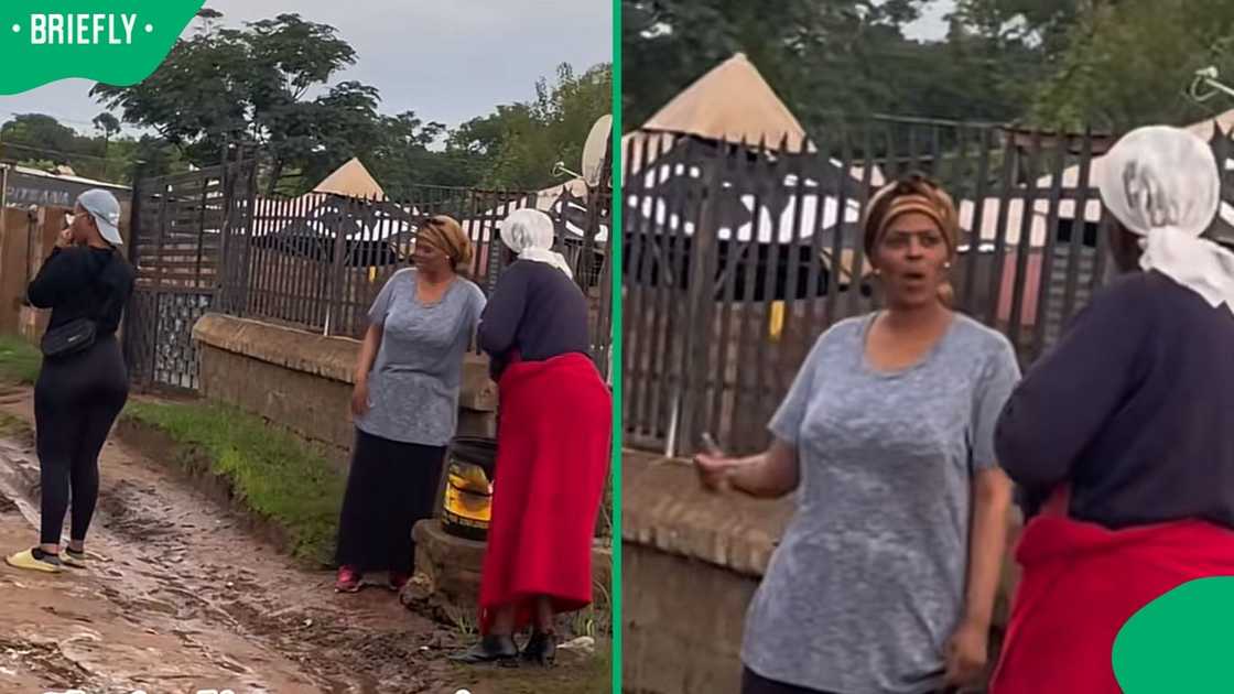 sphalaphalasagamarothi0