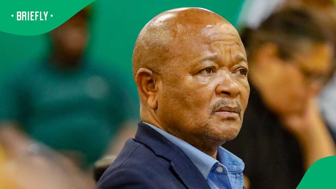 Senzo Mchunu testified at the Ad Hoc Commitee in Parliament