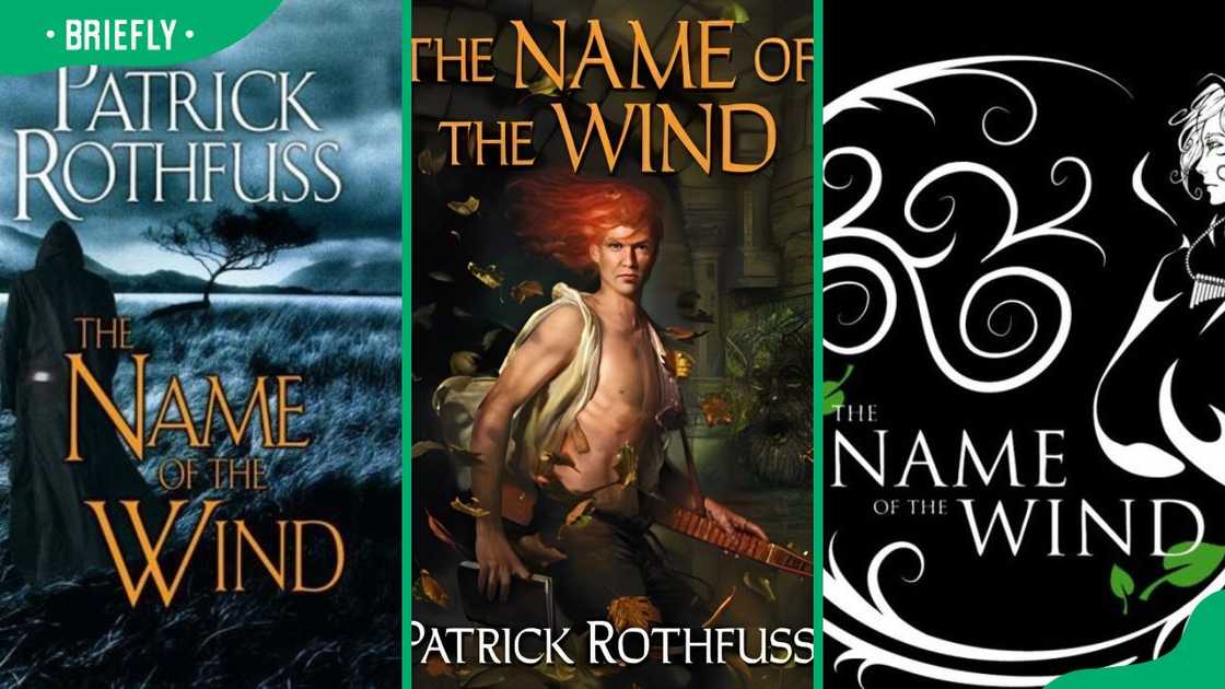 Patrick Rothfuss’ book (The Name of the Wind)