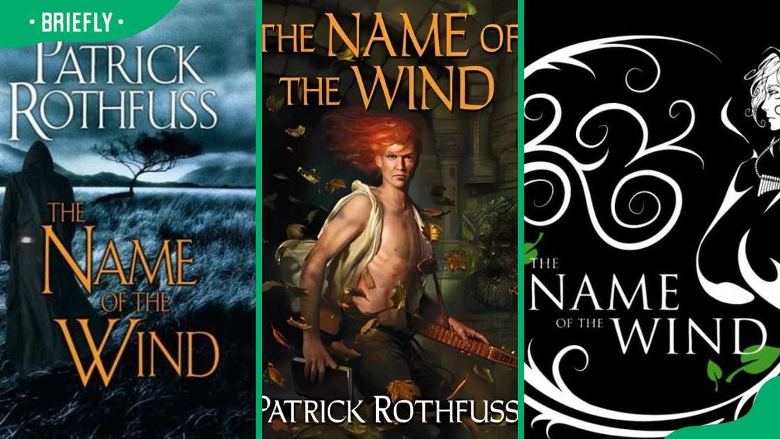 Patrick Rothfuss’ book (The Name of the Wind) Patrick Rothfuss’ book (The Name of the Wind)