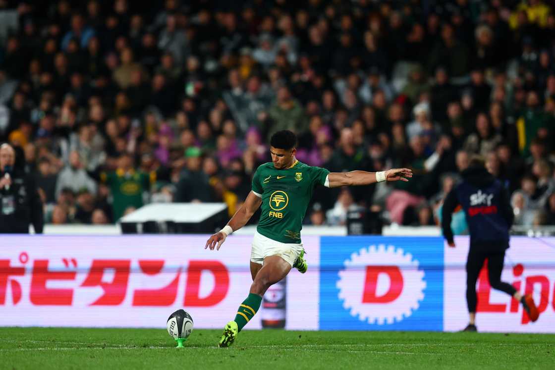 Springboks, South Africa, Sacha Feinberg-Mngomezulu, All Blacks Springboks, South Africa, Sacha Feinberg-Mngomezulu, All Blacks