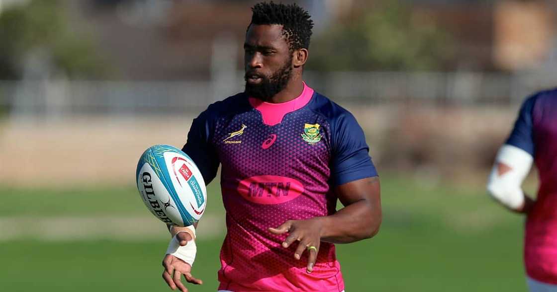 Springboks, Australia, Rugby, Wallabies, Rugby Championship, Siya Kolisi, Defeat Springboks, Australia, Rugby, Wallabies, Rugby Championship, Siya Kolisi, Defeat