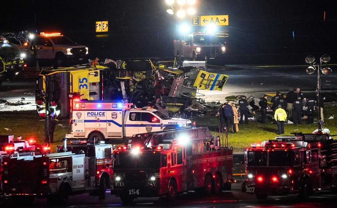 Fox and Friend Fox and Friend