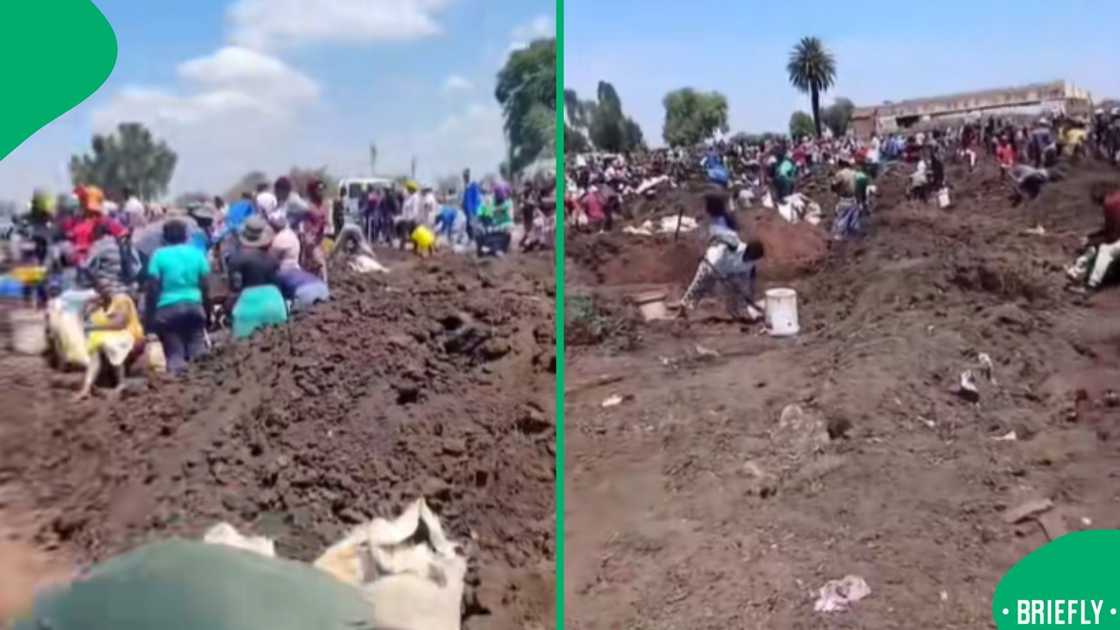 The visual on the right showed people digging the ground looking for gold